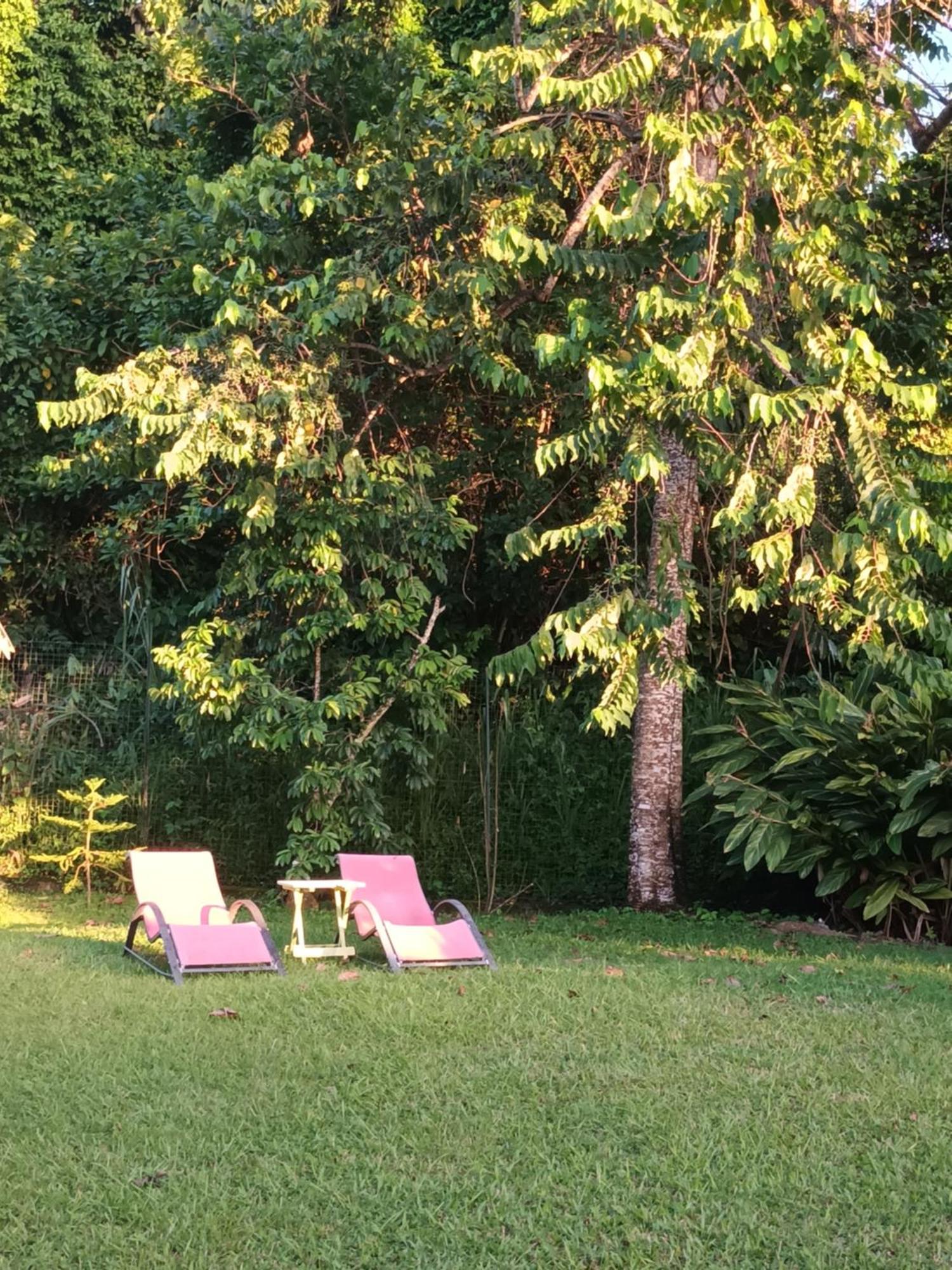 Appartamento Passion Caraibes Saint-Claude Esterno foto